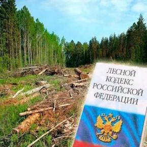 Контрольно-счетная палата Рязанской области начала проверку в министерстве природопользования Рязанской области.